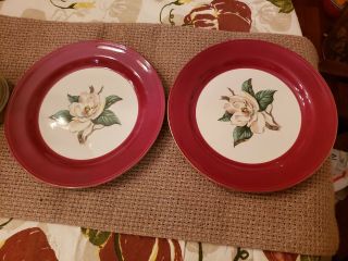 Lifetime China Burgundy,  2 Dinner Plates,  Homer Laughlin W/magnolia,