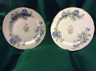 Set Of 2 Vintage Rossetti Meadow Belle Dinner Plates Hand Painted Euc