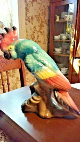 Royal Copley 9 " Green/rose,  Yellow Parrot Figurine