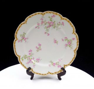 Haviland & Co Limoges France Pink Floral Gold Trim 8 1/2 " Luncheon Plate 1926 - 31