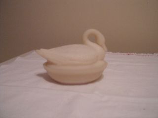 Imperial Swan On Nest Candy Dish