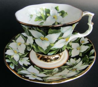 Vintage Royal Albert Teacup And Saucer - Provincial Series - Trillium