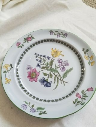2 Spode Summer Palace Fine Stone Dinner Plates 10.  25 "