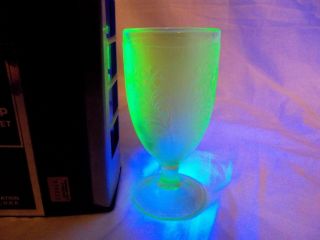 Water Goblet 5 - 5/8 ",  Federal Glass Uranium Green Depression Embossed Daisy Spray
