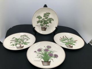 Nelson Nebo " Herbs " Set Of 4 Salad Plates Basil/parsley/chives/lovage