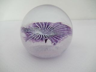 Lovely Caithness Scotland Glass Paperweight signed to base 2
