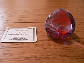 A Lovely Caithness " Pebble " Paperweight With C.  O.  A.  Freepost