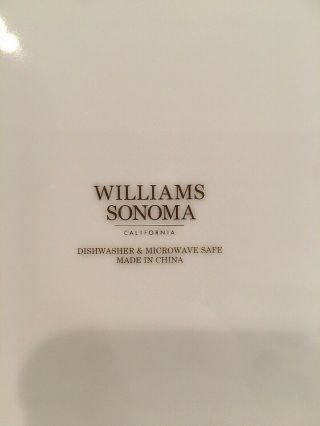 WILLIAMS SONOMA Botanical Pumpkin Salad Dessert Plate Set of 4 3