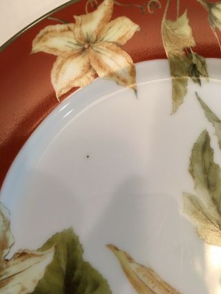WILLIAMS SONOMA Botanical Pumpkin Salad Dessert Plate Set of 4 4