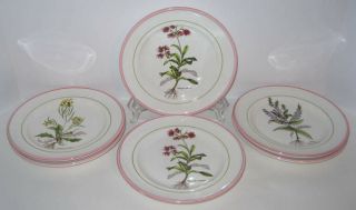 6 Primula 8 " Plates W/flowers,  Pink Rims Italian Decorata A Mano Made In Italy
