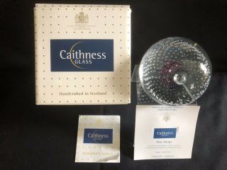 Caithness Glass Paperweight ‘dew Drops’ By Colin Terris And Papers