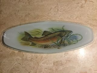 Chance Glass Oval Plate/dish Trout Design Unusual Piece Lovely