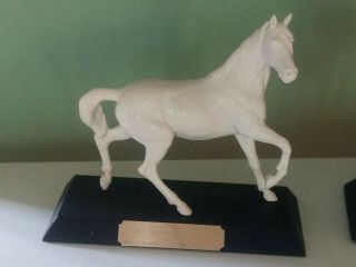 Beswick Porcelain Horse On Wood Base.  Trophy 1987 Flamboro Downs 3yr Old Trotter