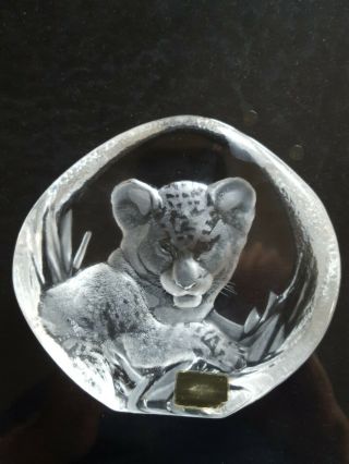 Signed Mats Jonasson Lion Cub Lead Crystal Paper Weight Number 3376