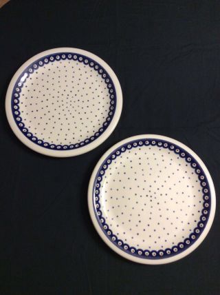 Polish Pottery Boleslawiec 11” Dinner Plate Set Of 2
