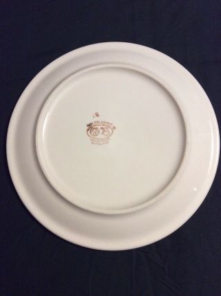 Polish Pottery Boleslawiec 11” Dinner Plate Set Of 2 3