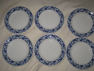 6 Wedgwood Of Etruria Laurel 6 " Bread Plates White Leaves On Blue Band