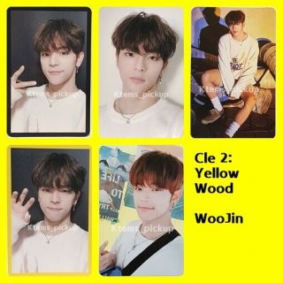 Stray Kids Photocard Album Yellow Wood Official Photo Card : Woojin