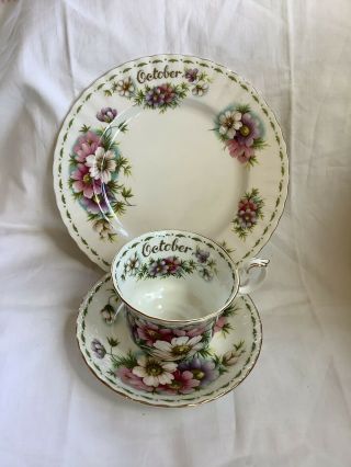 Royal Albert Flower Of The Month October Cup And Saucer And Plate