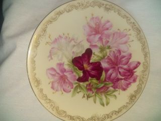 T&v Limoges France Hand Painted Pink Flowers Cabinet Plate 8.  5”gold Rim Perfect