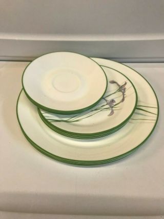 Corelle Corning Shadow Iris Plates,  Set Of 12 Plates