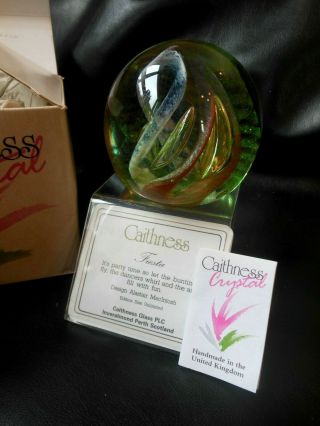 Caithness Crystal Glass Fiesta Paperweight Alastair Macintosh With Stand & Box