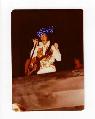 Elvis Presley Concert Photo - Front Row 1977 - Jim Curtin Vintage