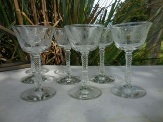 6 Vintage Elegant Glass Etched Flower & Fern Tall Wine Glasses W/ Twisted Stem