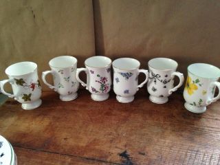 6 Vintage Royal Victoria Fine English Bone China Footed Cups Coffee Tea Floral