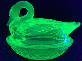 Green Vaseline Glass Swan On Nest Basket Candy Dish Uranium Yellow Butter / Neon