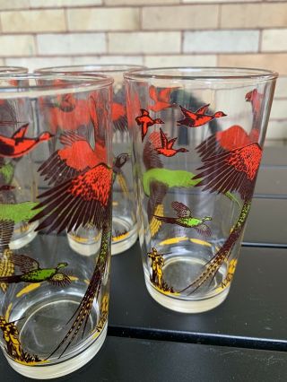 Vtg Set (6) Pheasant Drinking Glasses Hazel Atlas Drinking Glasses Bar Glassware 5