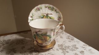 Vintage Crown Trent Unlimited Made In England Teacup And Saucer With Stand