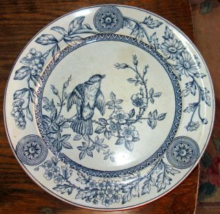 Antique Tg&f Booth Transferware Plate,  Richmond,  Song Bird,  Blue,  White,  1886,  10 "
