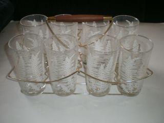 Set Of 8 Vintage Drinking Glasses White Ferns / Branches & Gold Rack / Holder