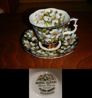 Royal Albert Floral Series " Dogwood " Black Floral Tea Cup & Saucer England