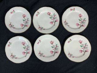 Set Of 6 Homer Laughlin Liberty Pink Dogwood Gold Trim Bread And Butter Plates