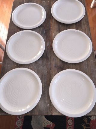 Set Of 6 Franciscan Sea Sculpture The Fan Shell White Dinner Plates 10.  5”