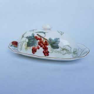 Charter Club Casuals Summer Grove Covered 1/4 Lb Butter Dish Charter Fruits
