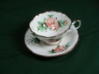 Vintage Paragon Rose Bone China Tea Cup & Saucer Rare Signed