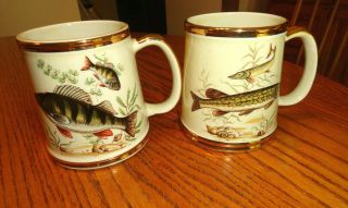 Vintage Gibsons Staffordshire England Fish Mugs - Oversized - Gold Rimmed