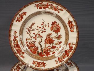 Spode Copeland Indian India Tree Rust Red Scalloped Dinner Plate (s) Old Mark