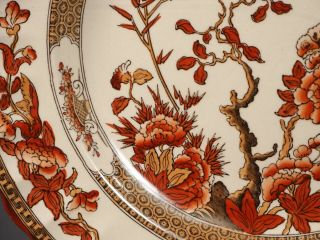 Spode COPELAND Indian India Tree Rust Red Scalloped Dinner Plate (s) OLD MARK 3
