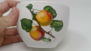 Portmeirion Pomona Chili Bowl - The Roman Apricot 2