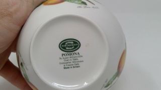 Portmeirion Pomona Chili Bowl - The Roman Apricot 4