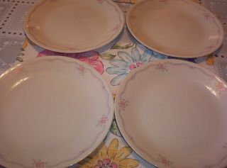 Corelle English Breakfast Pattern 10 - 1/4 Inch Dinner Plates