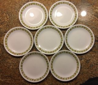 Vtg Corelle Spice Of Life 7 Salad Luncheon Plates 8.  5” Very Good
