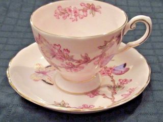 Royal Tuscan Fine Bone China Tea Cup & Saucer Butterflies Teacup