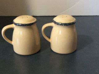 Home and Garden Party Celebrating Home Apple Salt And Pepper Stoneware 2
