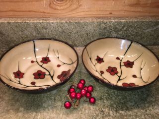 Set Of 2 Pfaltzgraff Studio Aster Soup Bowl Cereal Bowl 7 3/4 " Red Flowers Brown