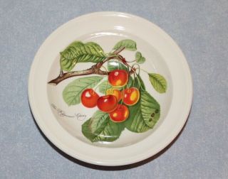 Portmeirion Pomona Big Cherry Rimmed Cereal Bowl 6 3/4 " Made In England